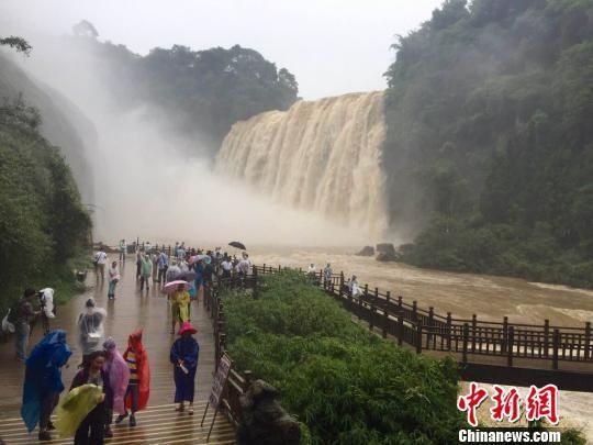 60余名臺(tái)商雨中觀黃果樹(shù)瀑布 看好貴州旅游發(fā)展前景